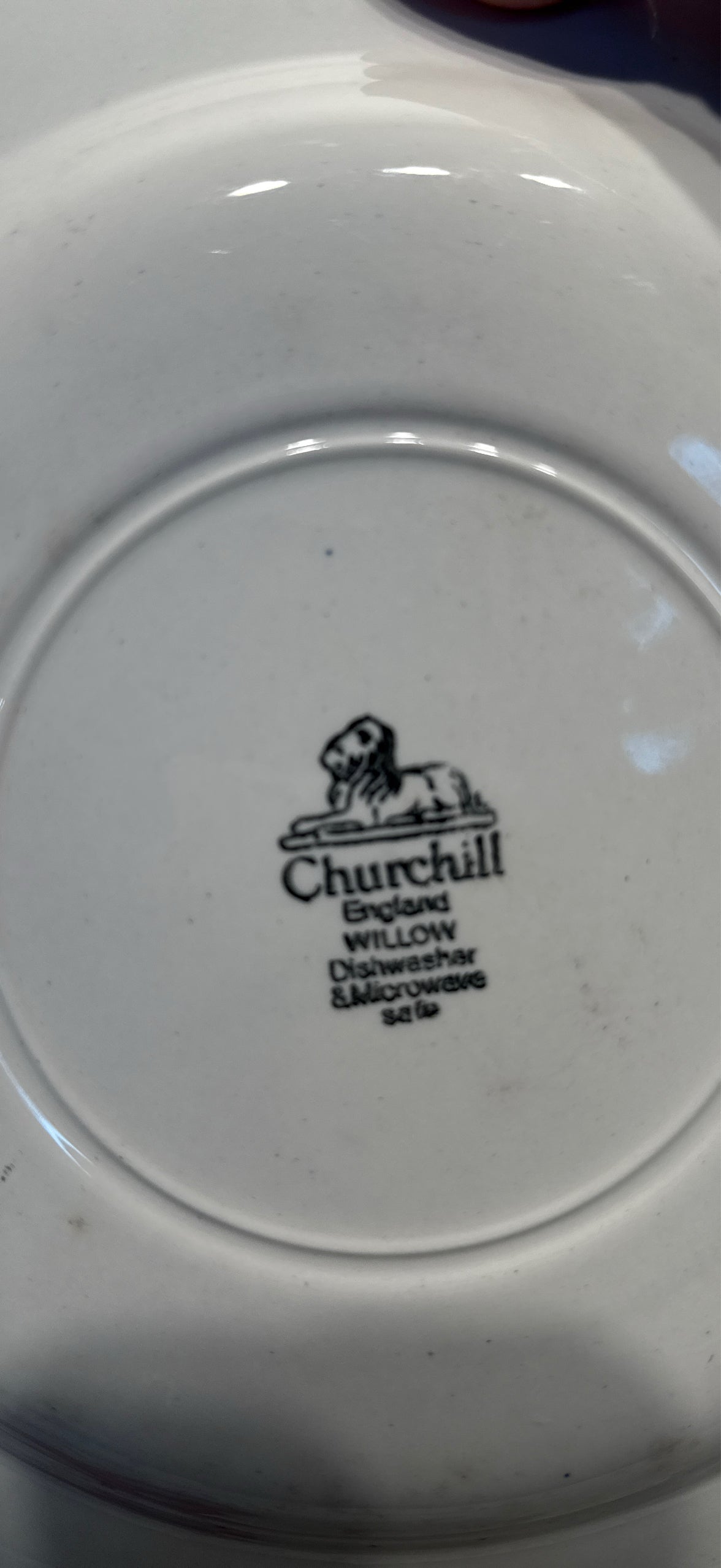 Blue Willow 10" Plate