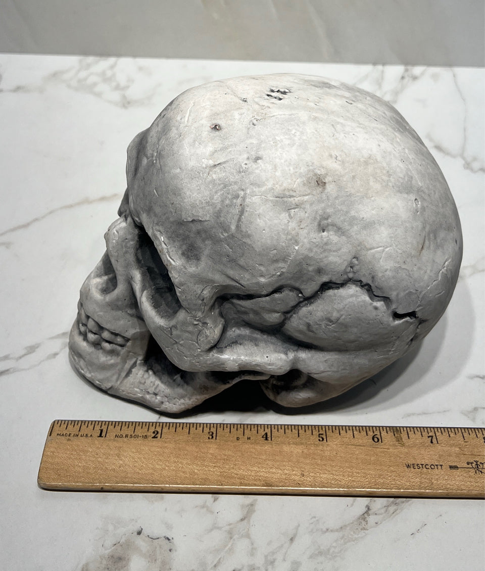 Skull