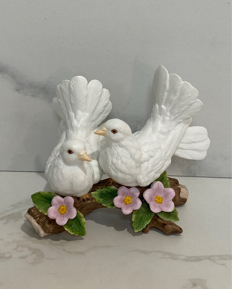 Birds
