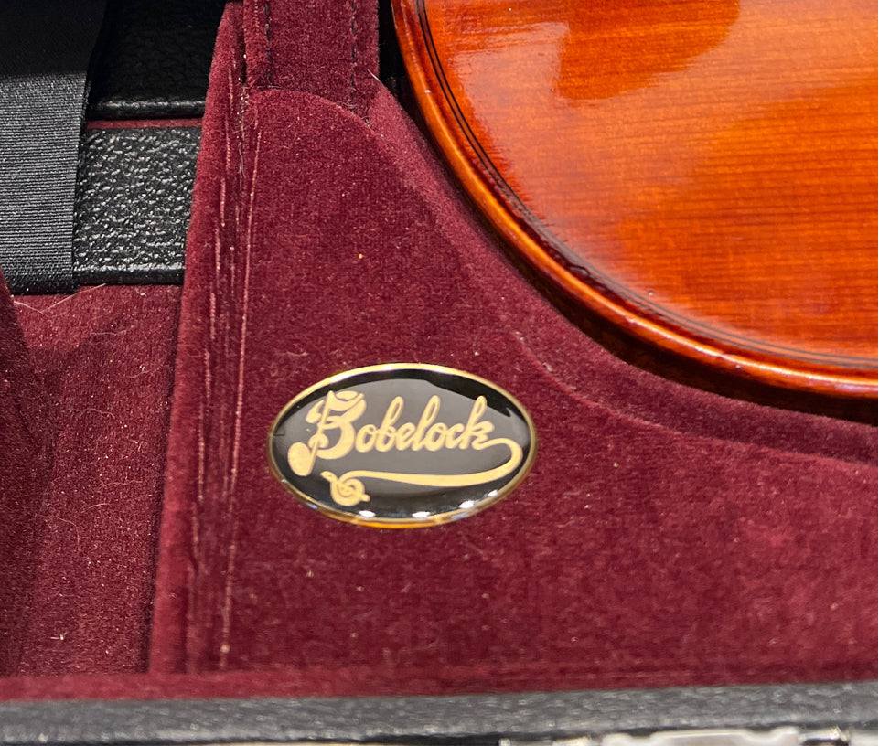 Violin With Bow And Case