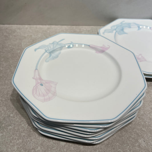 Set of 12 Villeroy & Boch Plates