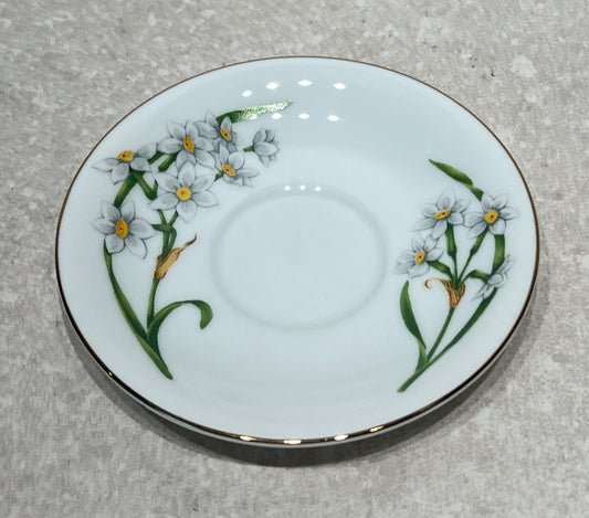 Cup and Saucer