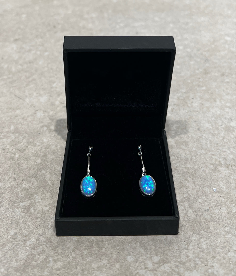 Pul Wright Sterling Earrings
