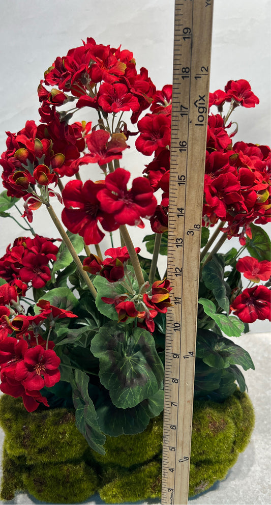 Red Flowers