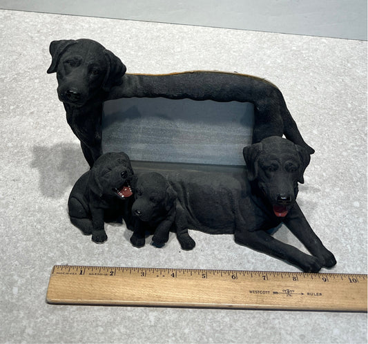Dog Frame
