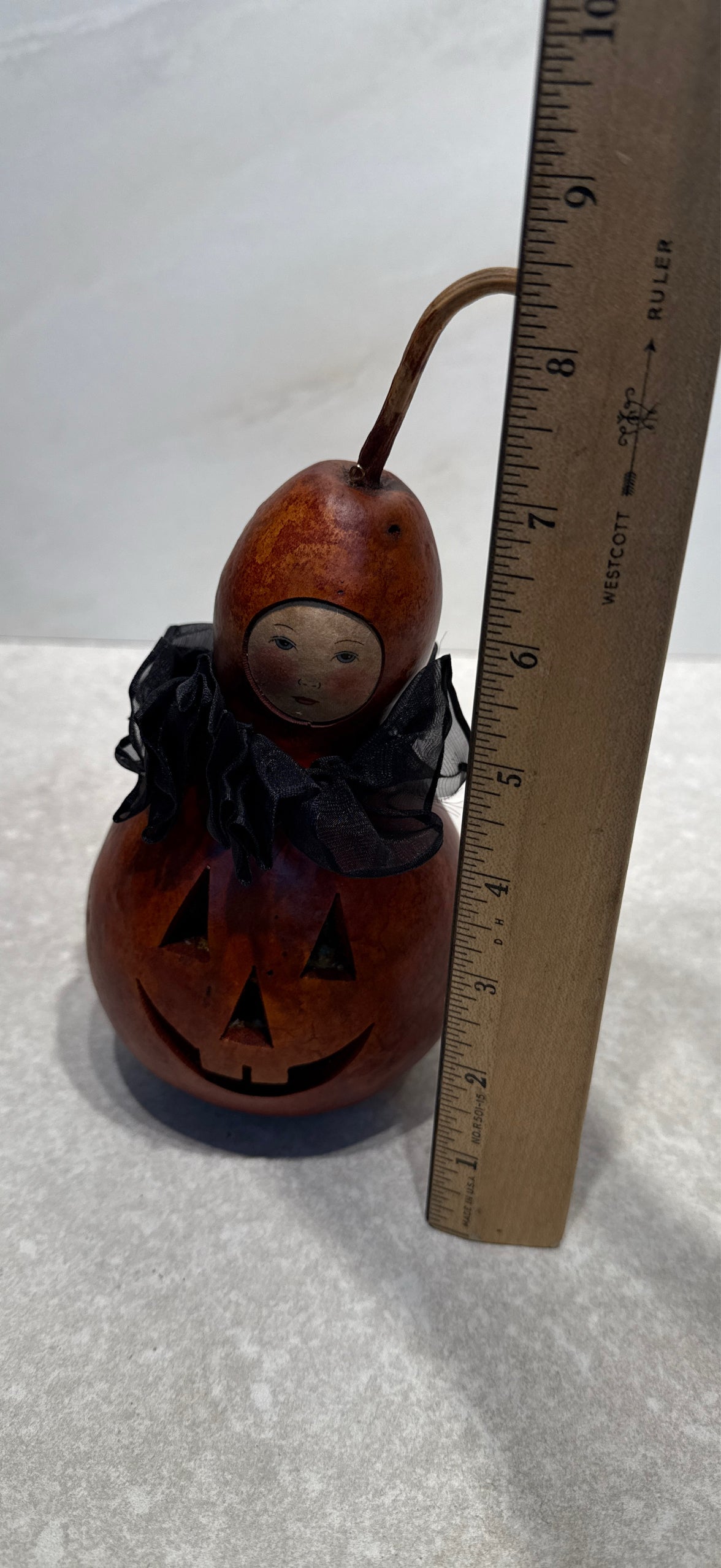 Pupkin Gourd