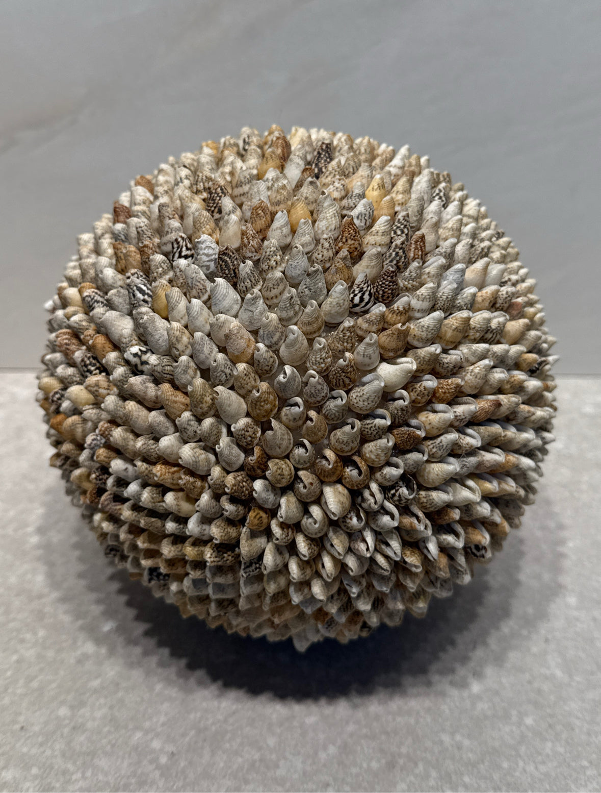 Shell Ball