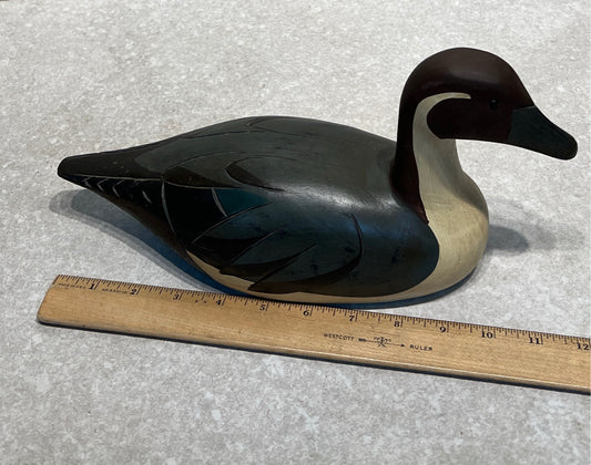 Duck