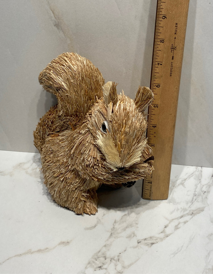 Squirrel