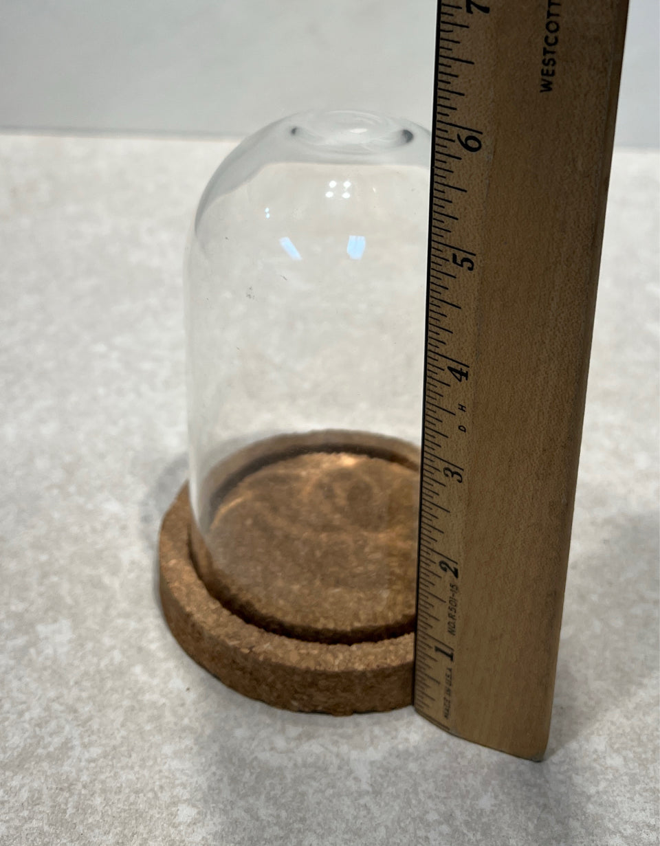 Cloche With Cork Base