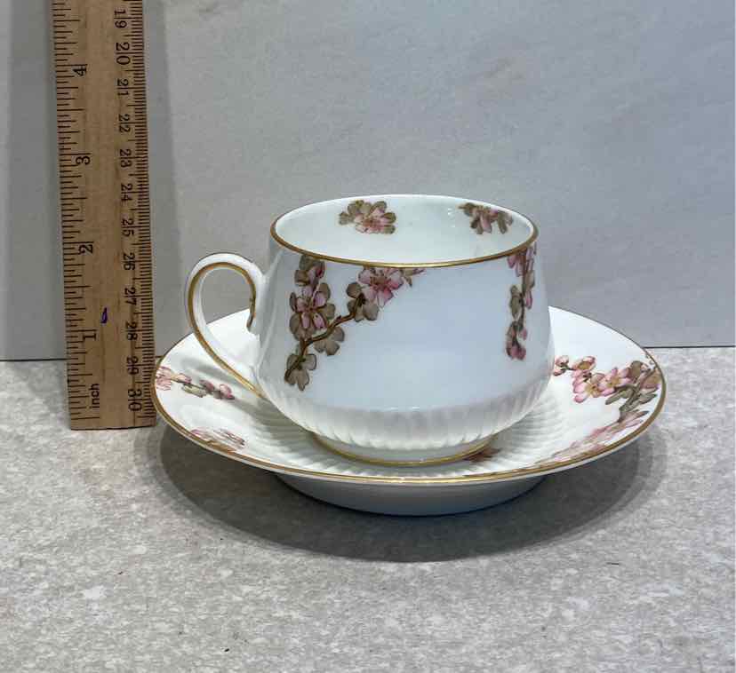 Cup And Saucer