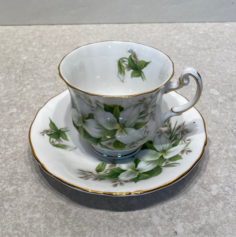 Cup and Saucer