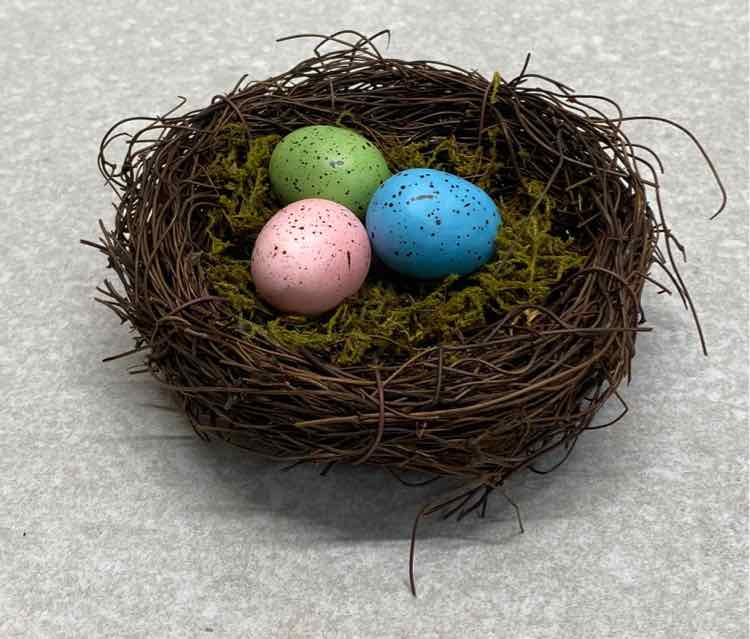 Eggs on Nest