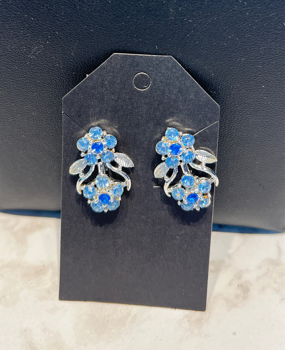 Clip On Earrings