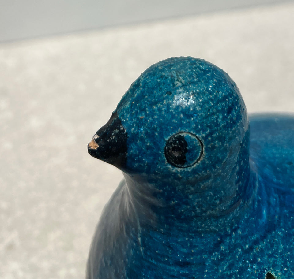 Bird - as is