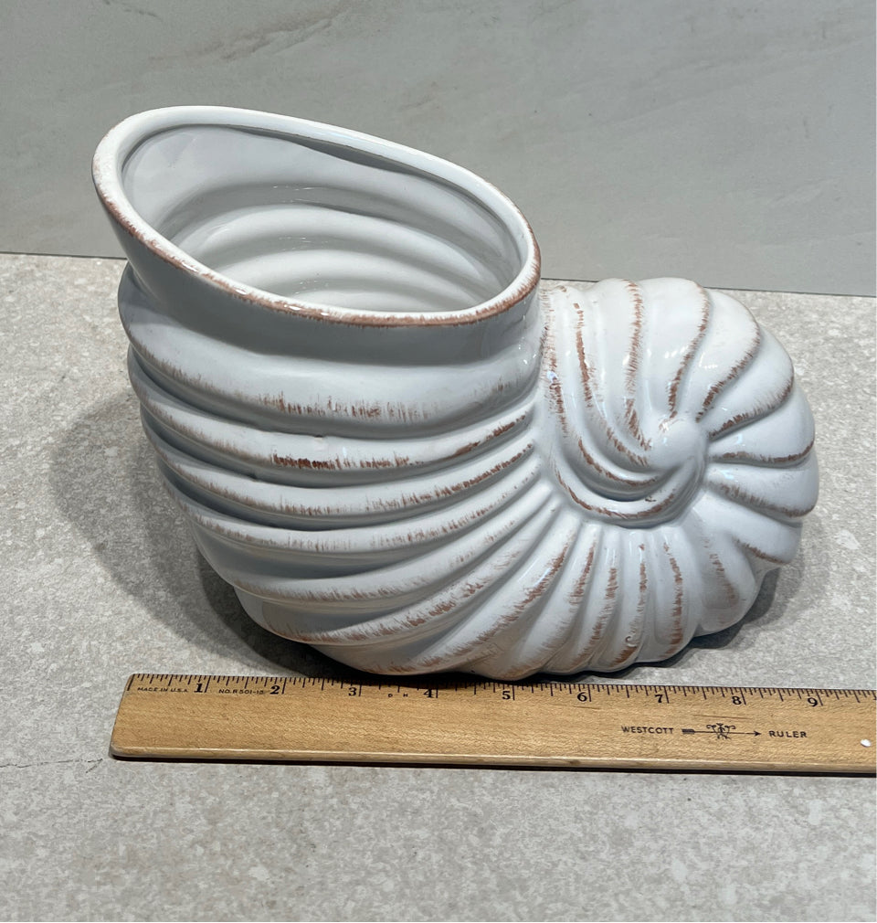 Shell Decor