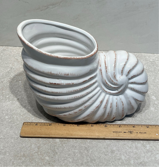 Shell Decor