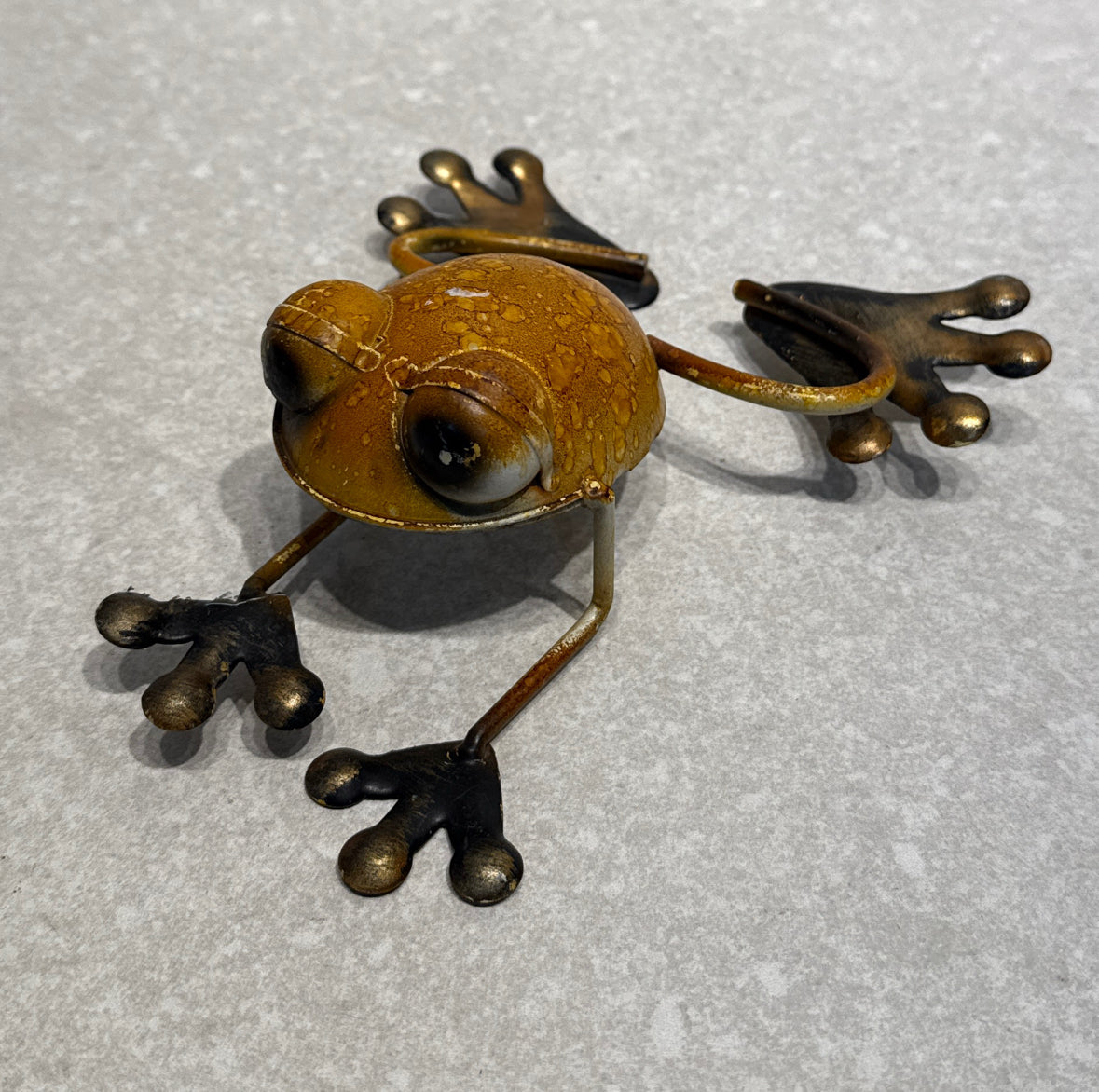 Frog