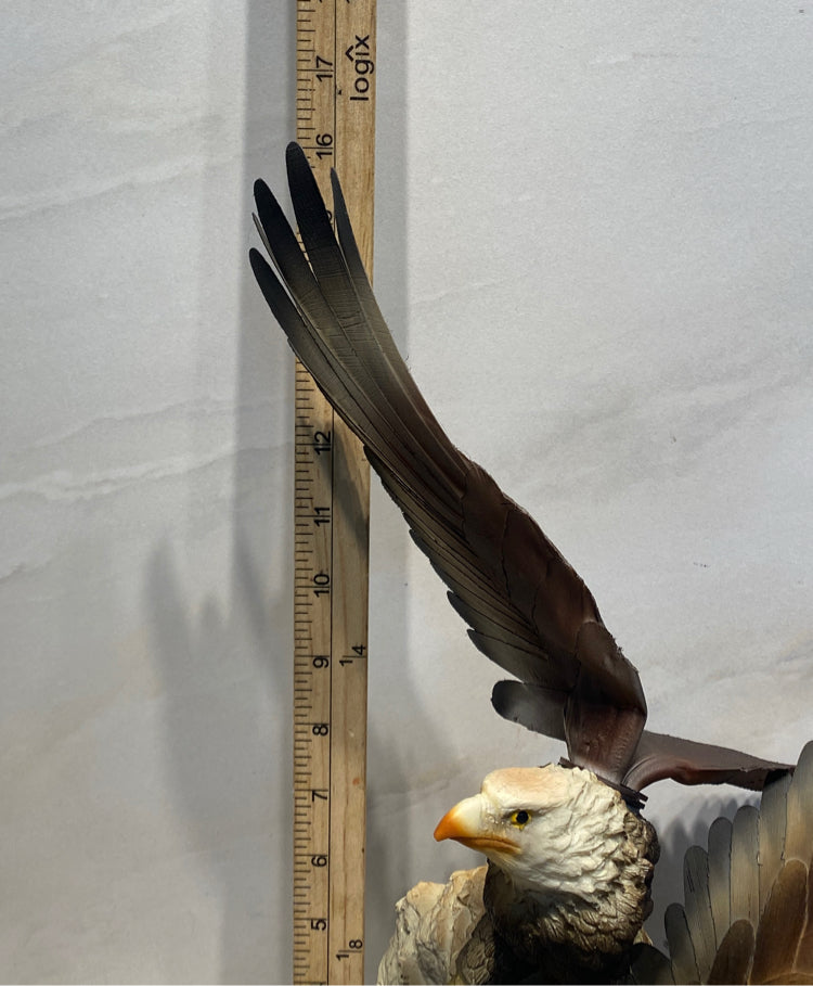 Soaring eagle