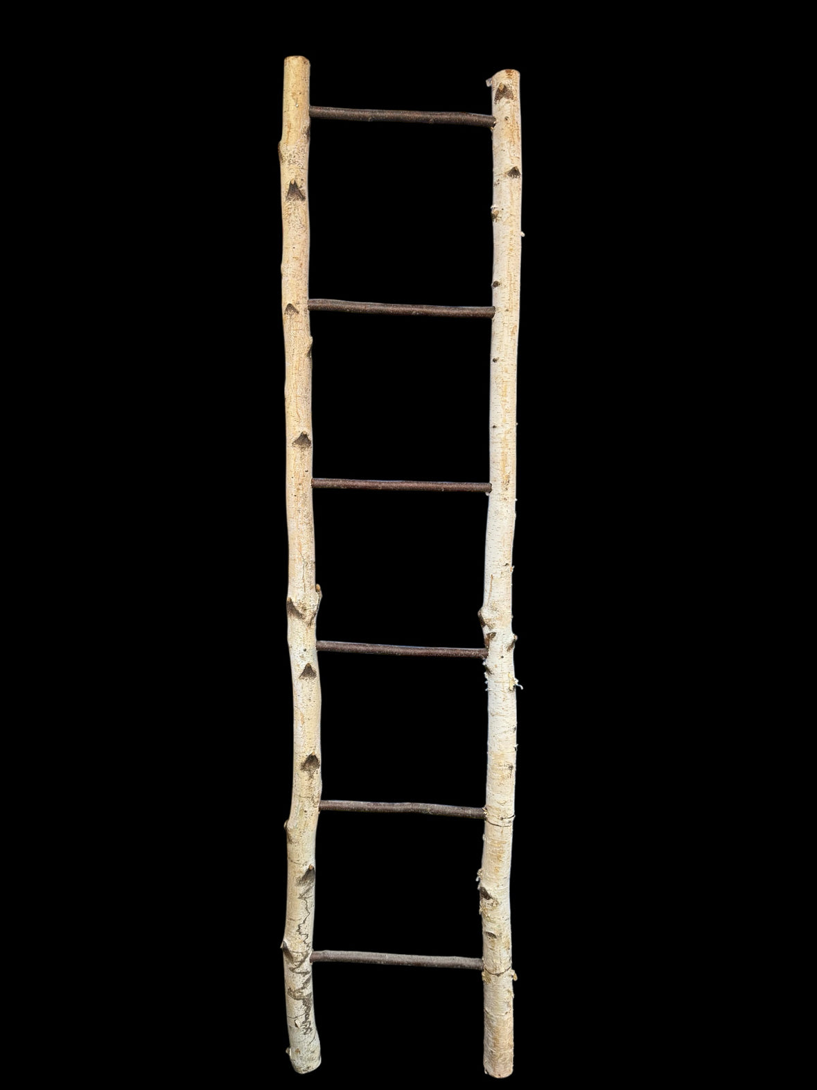 Ladder