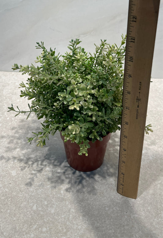 Artificial Decor