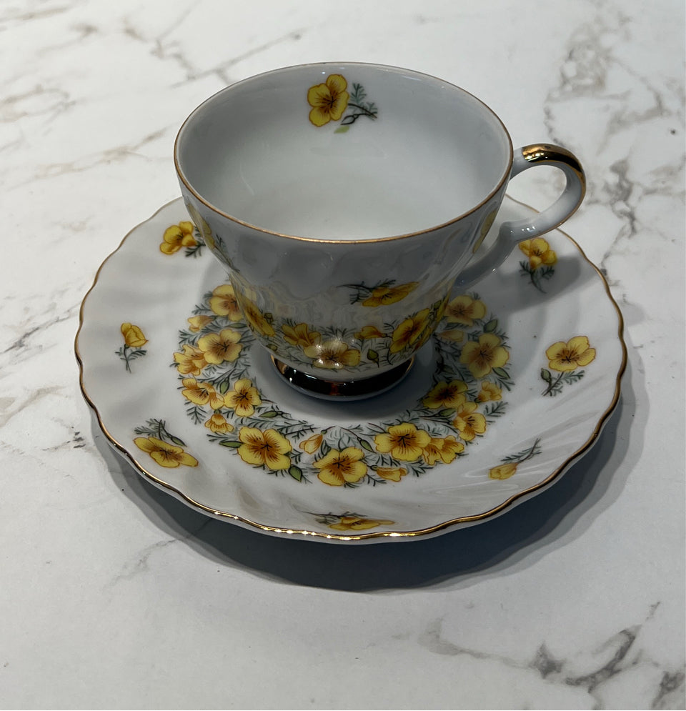 Cup And Saucer