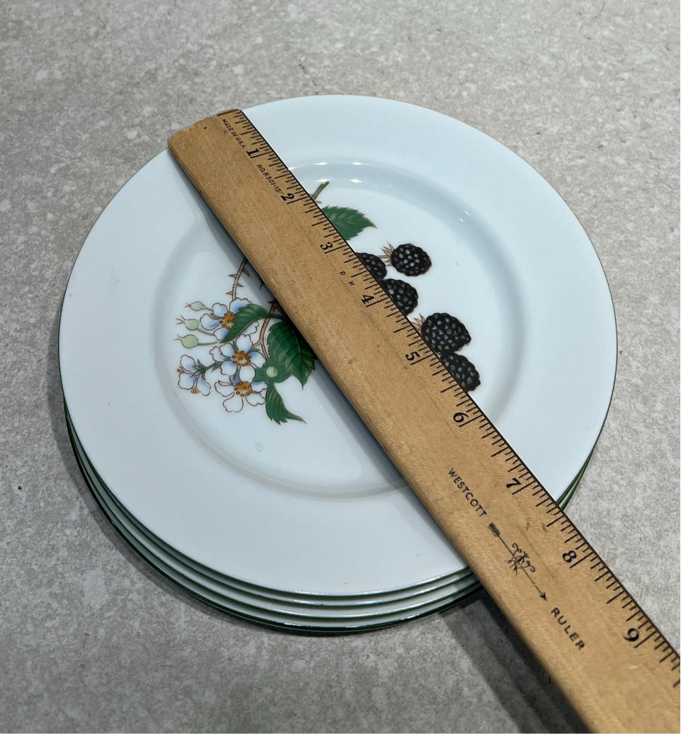 Set of 4 Plates