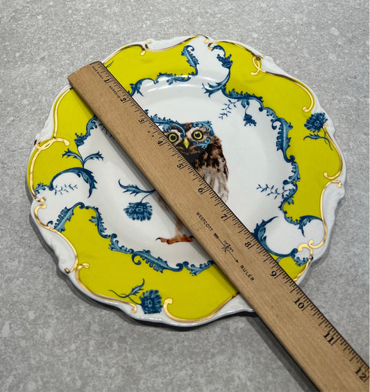 Anthropology Owl Plate
