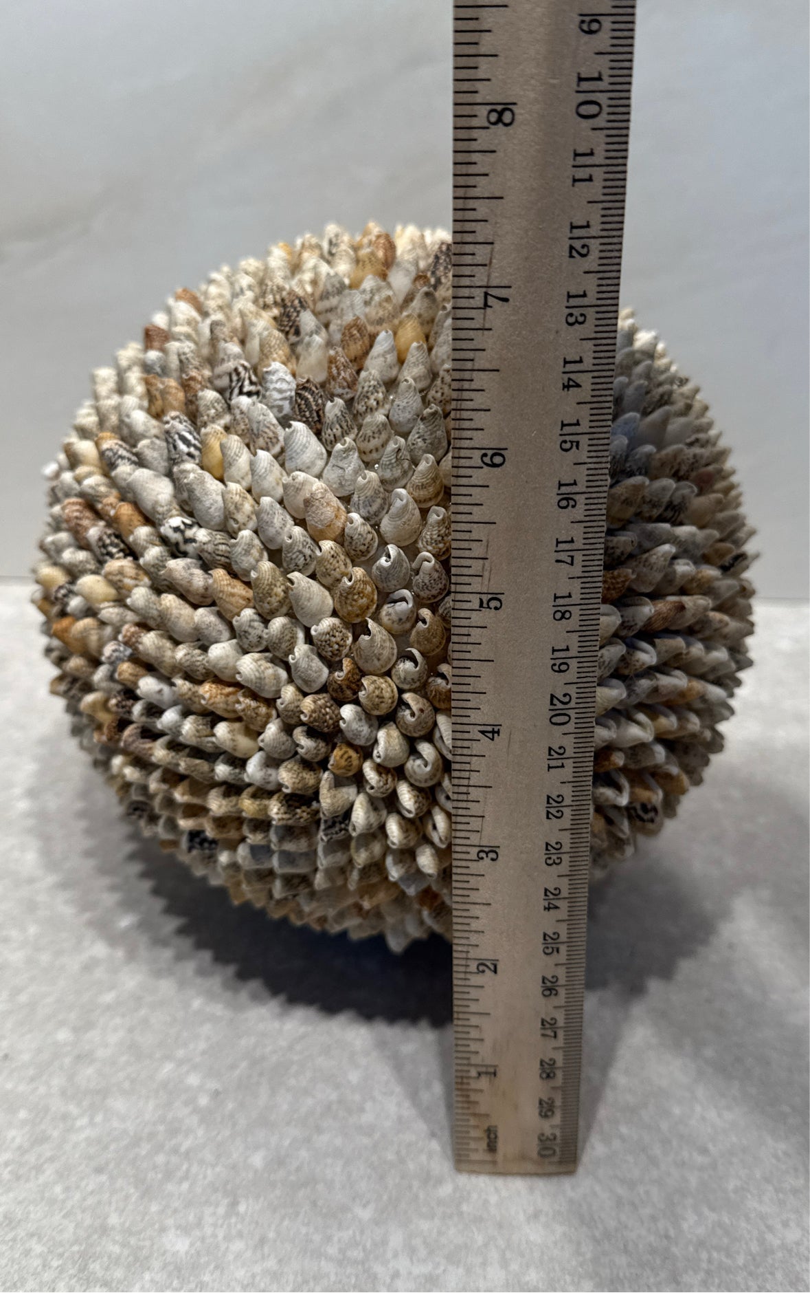 Shell Ball