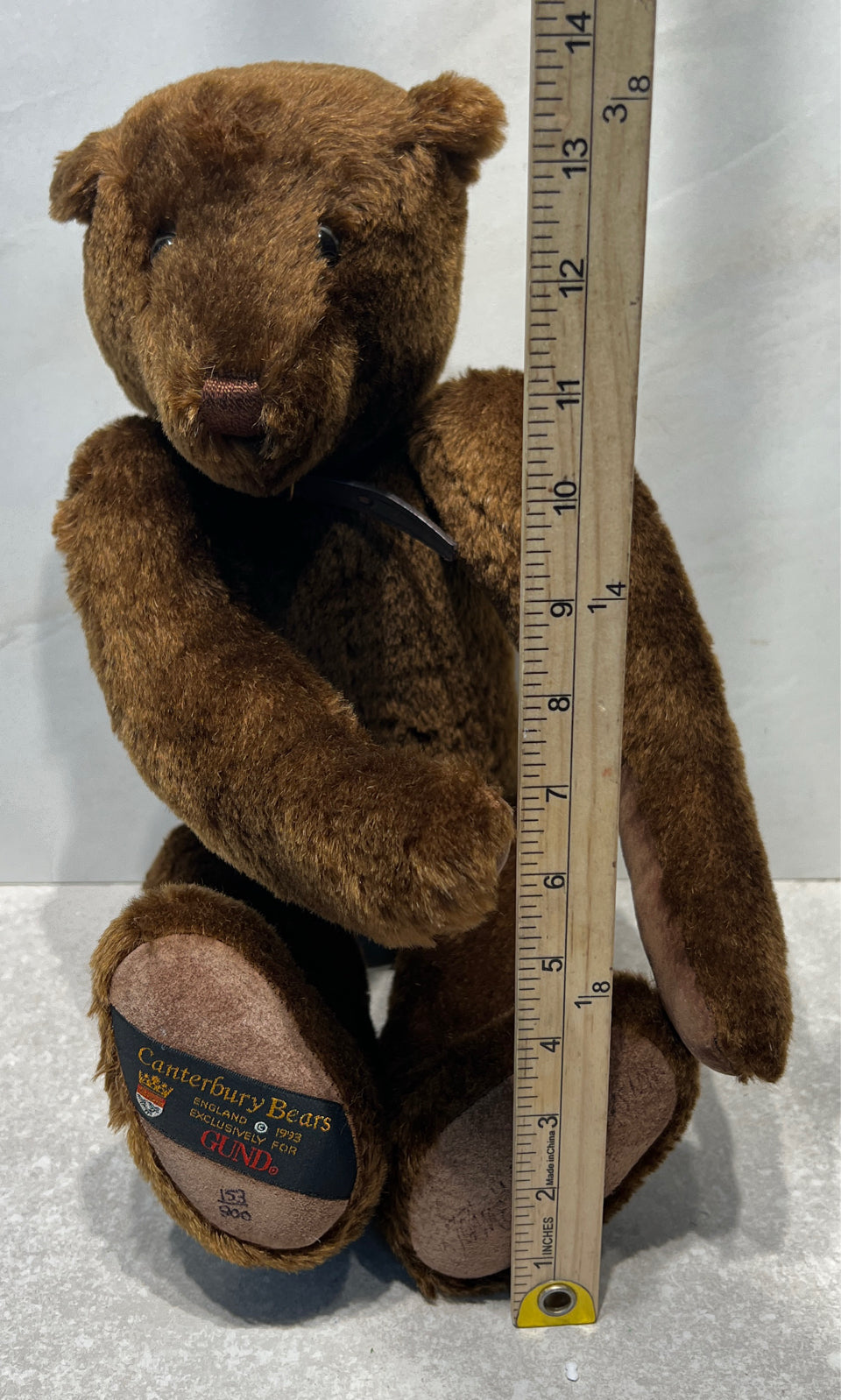 Canterbury Bear