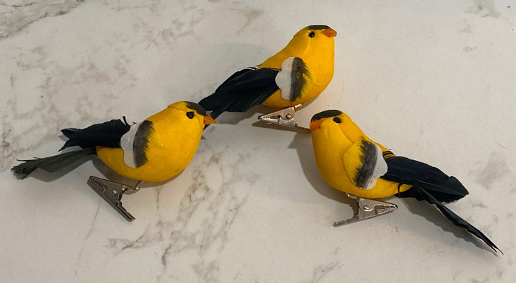 Bird Clips