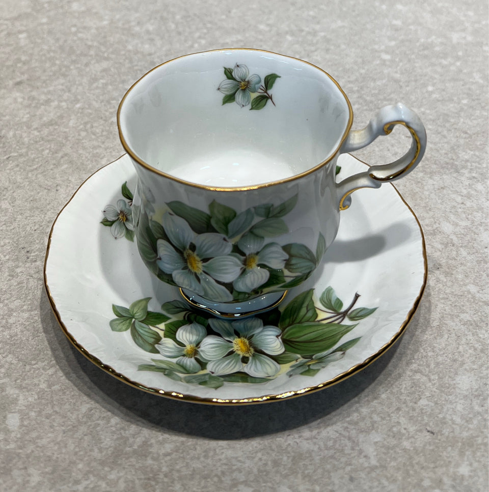 Cup And Saucer