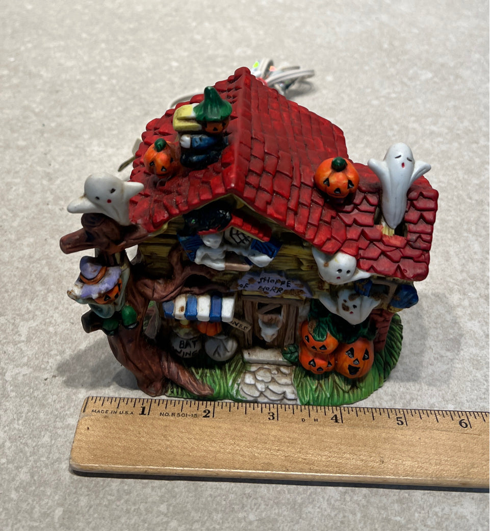Lighted Halloween House
