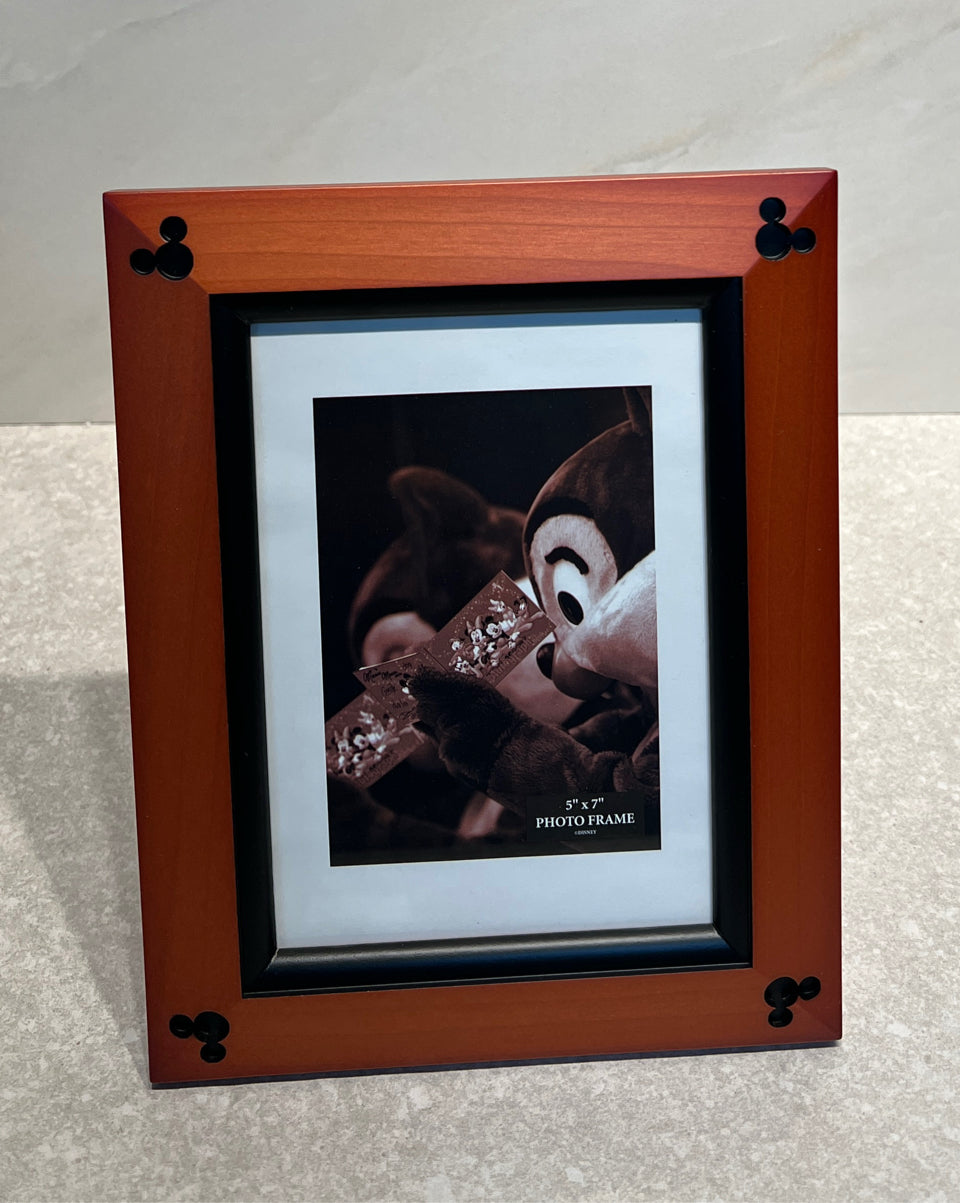 Disney Frame