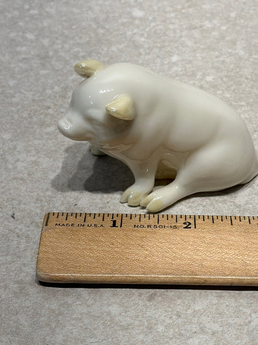 Belleek Pig