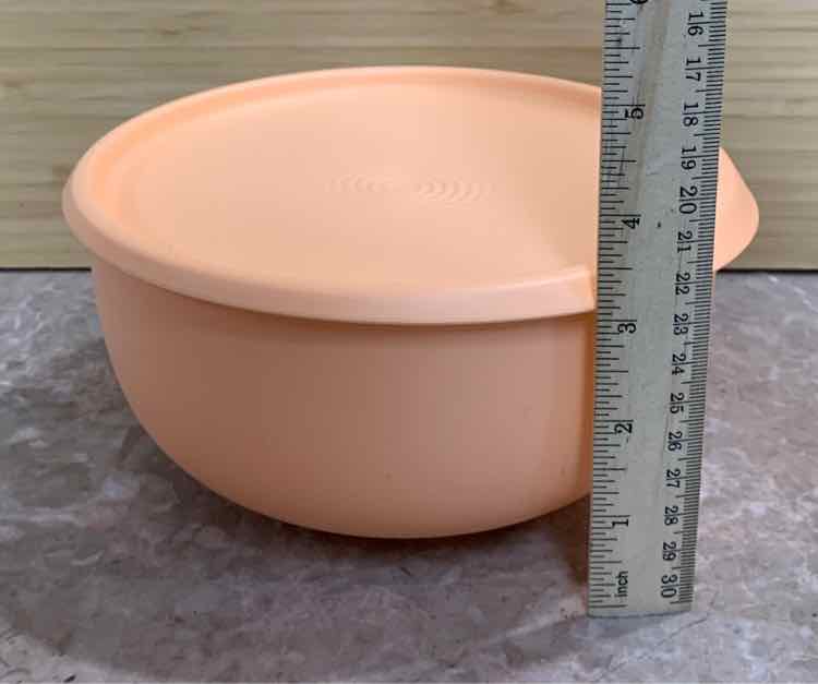 Covered Tupperware Bowl