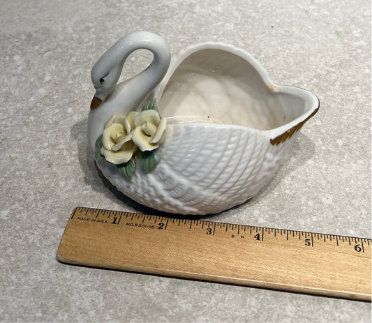 Swan