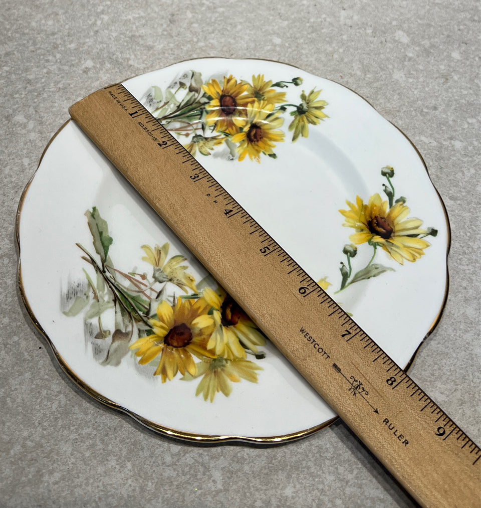 Englnd Plate