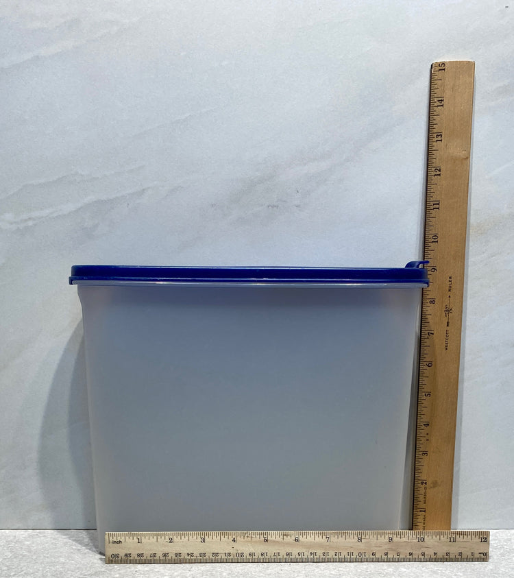 Tupperware Container