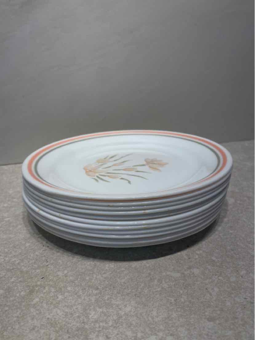Set of 11 Corelle Plates