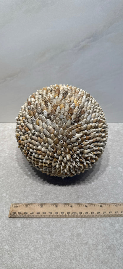 Shell Ball