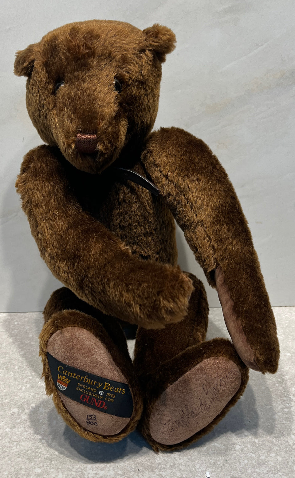 Canterbury Bear