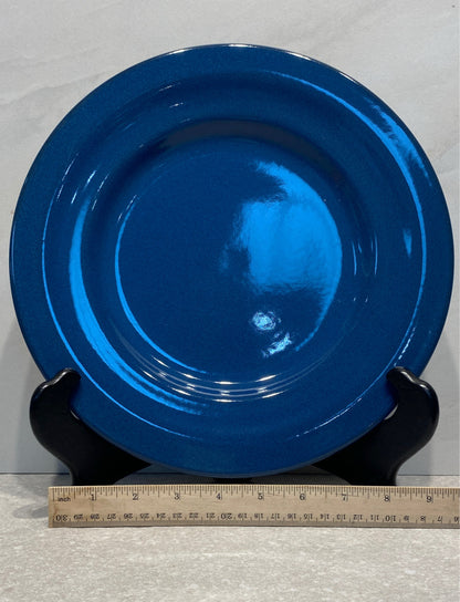 Set of 6 Pier 1 Dinner Plates
