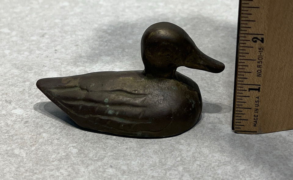 Brass Duck