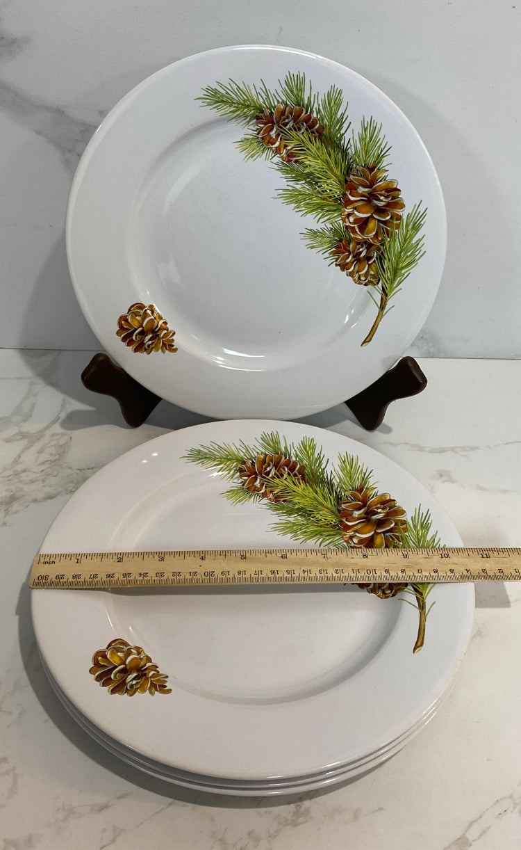 Set of 4 Dinner Plates