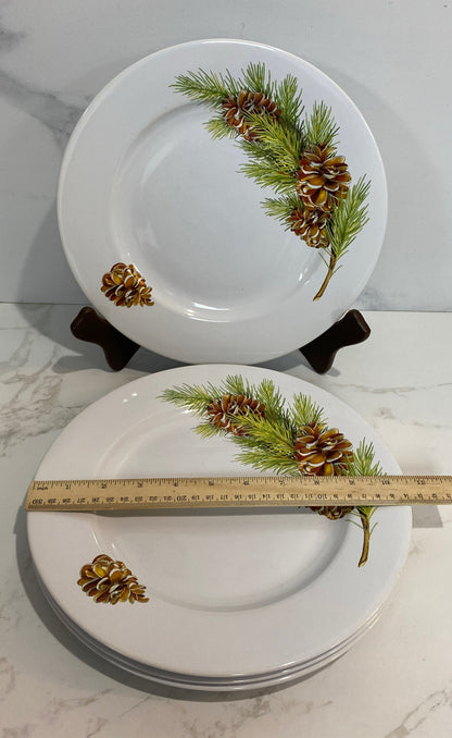 Set of 4 Dinner Plates