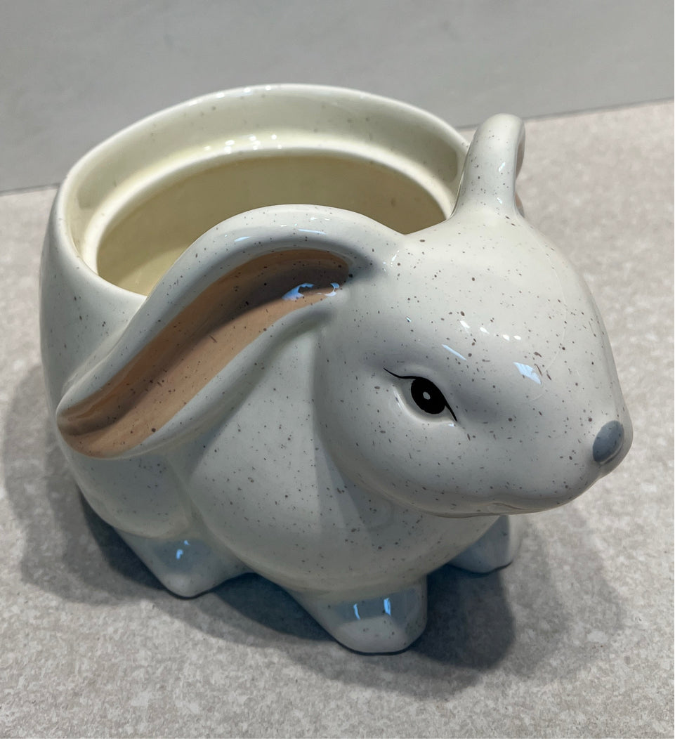 Harry and David Planter
