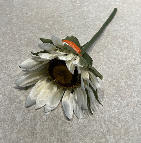 Flower Pic