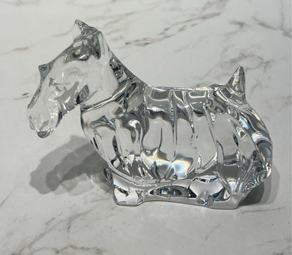 Baccarat Dog