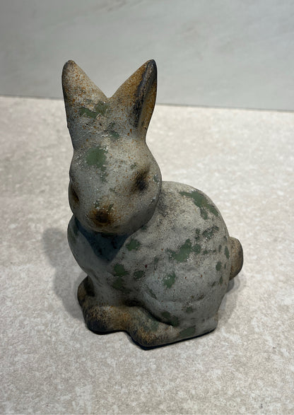 Rabbit